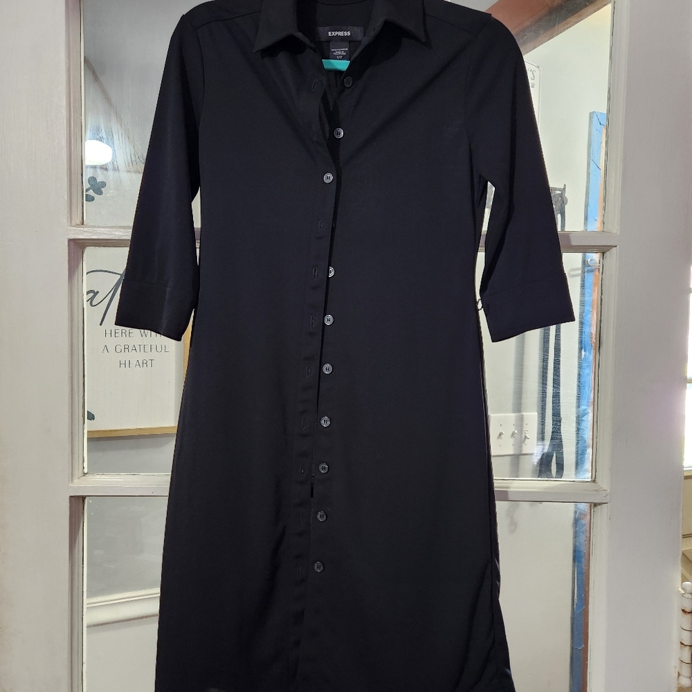 Express sheer button-down collard dress